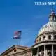 Spider season in Texas: Which ones are dangerous?