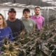 From left to right, Ann Gauger, Keil Gauger, Great Gauger and Zach Gauger stand inside their indoor hemp farm at Caprock Family Farms, Friday, May 23, 2025, in Lubbock.