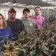 From left to right, Ann Gauger, Keil Gauger, Great Gauger and Zach Gauger stand inside their indoor hemp farm at Caprock Family Farms, Friday, May 23, 2025, in Lubbock.