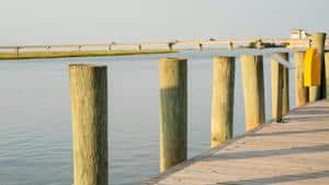 Virginia to get $15.2M for coastal flood protection | Virginia