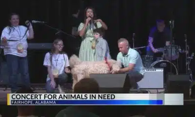The Haven animal shelter hosts first benefit concert