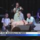 The Haven animal shelter hosts first benefit concert
