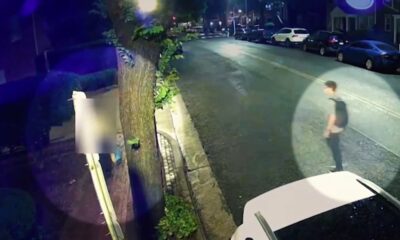 FCC employee accused of sexual assault, attempted abductions in Alexandria | NBC4 Washington