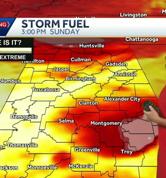 More strong to severe storms are forecast for Alabama heading into the new work week