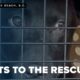Pilots To The Rescue flies animals from SC to new beginnings up north