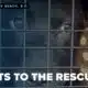 Pilots To The Rescue flies animals from SC to new beginnings up north