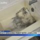 Beacon Apartment Tenants Hit Breaking Point With Landlord | June 9, 2025 | News 19 at 10 p.m.