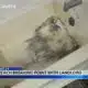 Beacon Apartment Tenants Hit Breaking Point With Landlord | June 9, 2025 | News 19 at 10 p.m.
