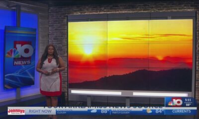 Summer Heat Safety