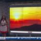 Summer Heat Safety