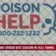 Snake season: What to do if a venomous snake bites you?