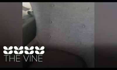 Viral video divides internet on what color this chair is
