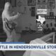 Break-in leads to shootout at Hendersonville store, police say