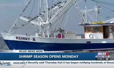 Mississippi shrimp season to open soon