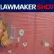 Suspect wanted in shooting of 2 Minnesota lawmakers