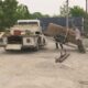 Multiple bodies found in exhumed Salem, Ill., grave 