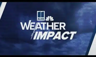 Storms leave behind down trees, debris