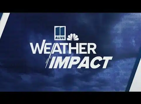Storms leave behind down trees, debris