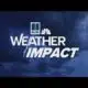 Storms leave behind down trees, debris