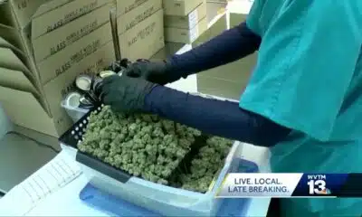 'I truly feel sorry': Medical cannabis licenses under review as patients await relief