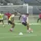 HCFC Enjoying Success So Far in the 2025 Season | June 19, 2025 | News 19 at 10 p.m.