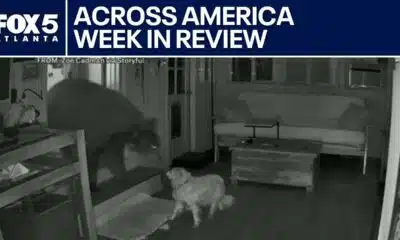 Baby killed, girl rescued, chainsaw suspect lassoed | FOX 5 News