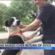 Concerns raised after a judge ordered 30 dogs returned to the home of alleged abuser