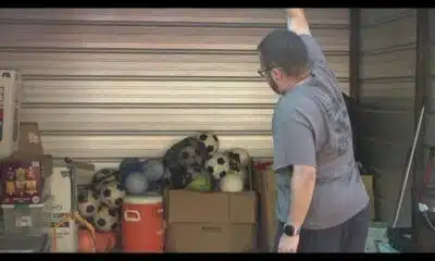 Thieves take thousands of dollars in equipment from Union County Soccer League