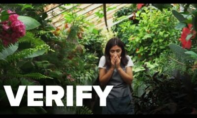 Does your heart stop when you sneeze? | VERIFY