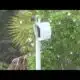 South Florida woman says she has received five speeding tickets in the mail