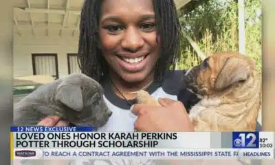 'My sister is a hero': Family honors Karah Perkins Potter through scholarship