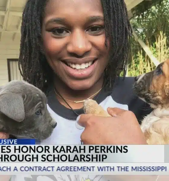 'My sister is a hero': Family honors Karah Perkins Potter through scholarship