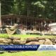 Two suspects arrested in double homicide investigation in Crawford County
