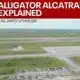 Alligator Alcatraz: What we know | FOX 5 News