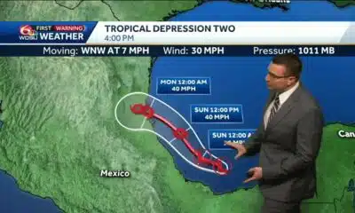 Tropical Depression Two Forms