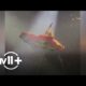 Beyoncé handles car tilting in air during Houston show