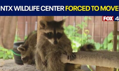 North Texas Wildlife Center has 60 days to relocate