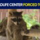 North Texas Wildlife Center has 60 days to relocate