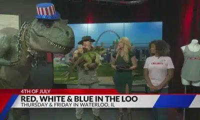 Red, White & Blue in the Loo
