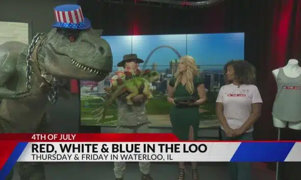 Red, White & Blue in the Loo