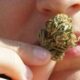 Eight Circuit judges reject Abbott’s rational for vetoing THC ban | Texas