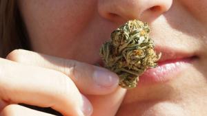 Eight Circuit judges reject Abbott’s rational for vetoing THC ban | Texas