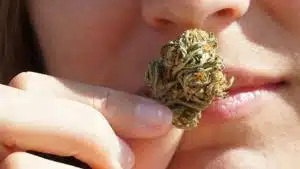 Eight Circuit judges reject Abbott’s rational for vetoing THC ban | Texas