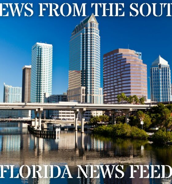 Florida Gov. DeSantis approves latest batch of laws. Here’s the full list