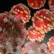 Georgia's fifth measles case reported | Georgia