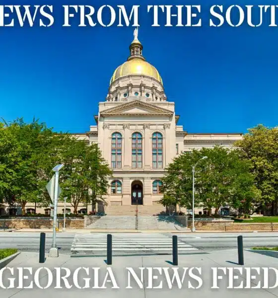 Reported shark attack on HHI