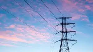 Virginia tied to grid emergency cited in Department of Energy order | Virginia