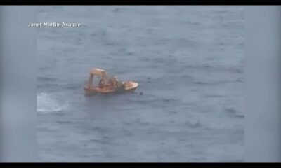 Cruise rescue: Man jumps into water to save daughter, who fell overboard