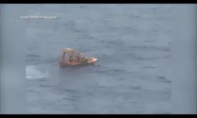 Cruise rescue: Man jumps into water to save daughter, who fell overboard