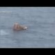 Cruise rescue: Man jumps into water to save daughter, who fell overboard